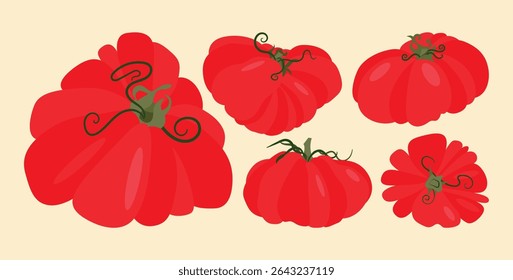Set of heirloom tomatoes with green stems different shapes. Flat vector illustration isolated on light background. Colorful vegetable variety. Healthy eating and organic farming concept