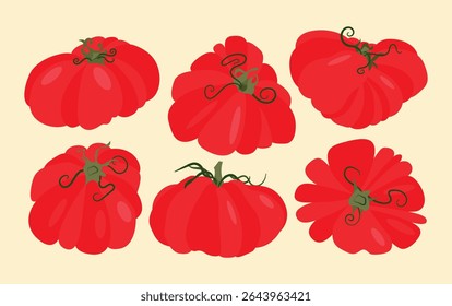 Set of heirloom tomatoes with green stems different shapes. Flat vector illustration isolated on light background. Colorful vegetable variety. Healthy eating and organic farming concept