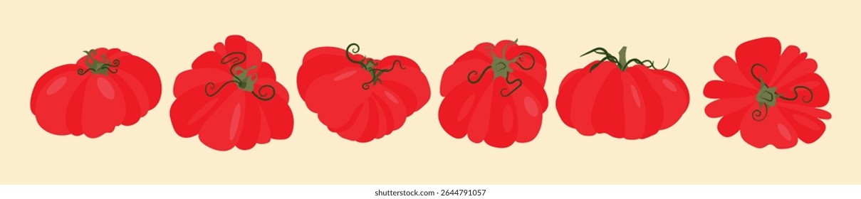 Set of heirloom tomatoes with green stems different shapes. Flat vector illustration isolated on light background. Colorful vegetable variety. Healthy eating and organic farming concept