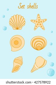 Set of hells and starfish in pastel tones vector illustration.