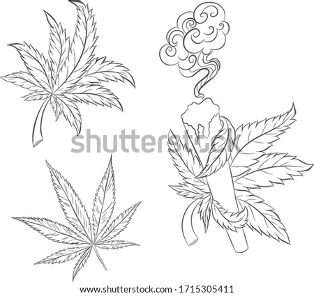 set of hemp leaves marijuana black and white graphics sketch vector illustration