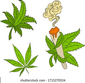 set of hemp leaves marijuana vector illustration