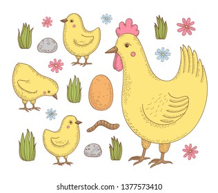 Set with hen and chicks. Vector hand drawn illustration.