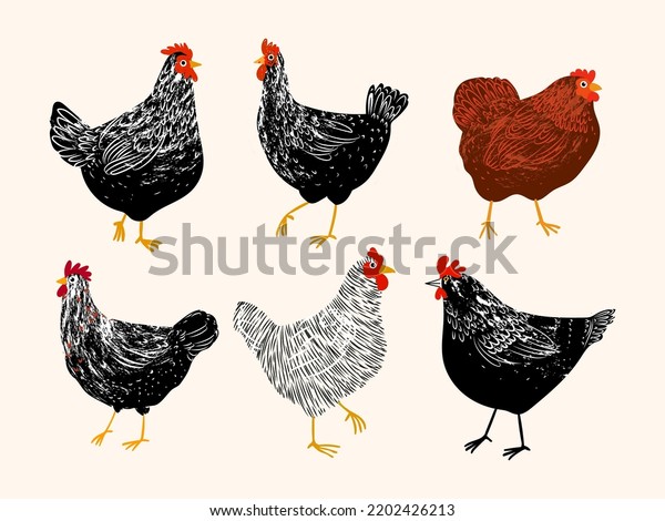 Set Hen Rooster Chicken Icon Character Stock Vector (Royalty Free ...