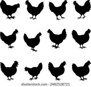 Set of hen silhouette, chicken silhouettes, Set of rooster and hen silhouettes