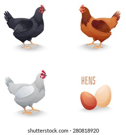 Set of hens different breed with eggs. isolated. Vector illustration