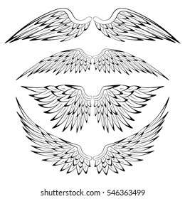 Set of heraldic bird angel wings isolated on white background for religious, tattoo or heraldry design. Vector illustration.