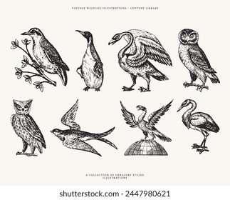 Set of Heraldry Inspired Bird Line Art Illustrations - Includes a Penguin, Swan, Owls, and more