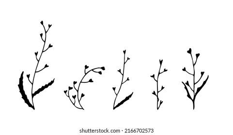 Set of herb with heart shapes flowers. Doodle style. Isolated vector