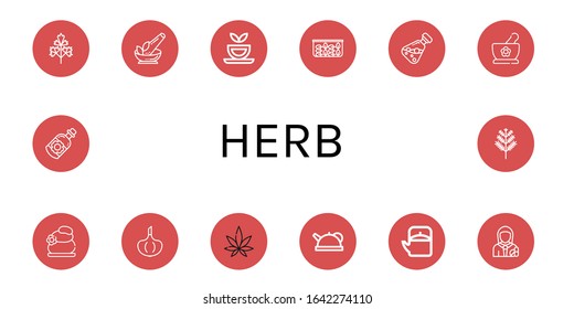 Set of herb icons. Such as Parsley, Herb, Herbal tea, Spinach, Essential oil, Herbs, Lithotherapy, Garlic, Weed, Teapot, Pharmacist, Dill , herb icons