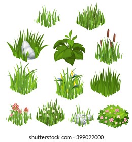 The set of herbaceous plants isolated on white background. Vector illustration.