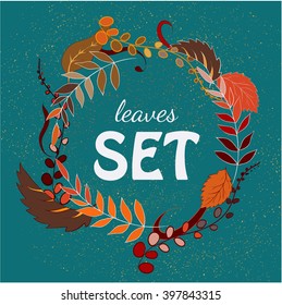 Set of herbal banners with hand drawn elements