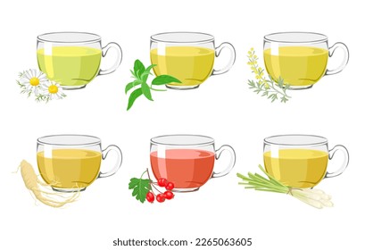 Set of herbal medicinal teas of different types. Glass cups with a drink of wormwood, ginseng, chamomile, hawthorn, verbena and lemongrass. Vector cartoon illustration