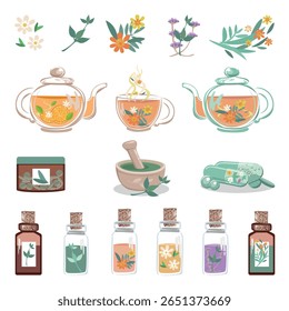 Conjunto de preparações de ervas, óleo essencial, chá de ervas e ervas medicinais. Fitoterapia. Medicina alternativa. Ilustração vetorial para publicidade, folhetos e redes sociais.