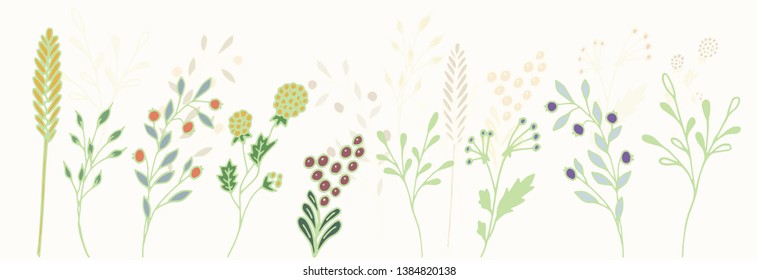Set of herbs and berries, hand drawn sketch, vector, green, blue, yellow colors.