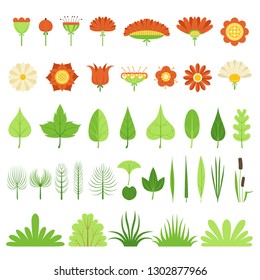 Set of herbs, bushes, flowers, leaves and reeds. Botanical collection.