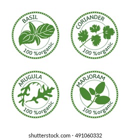 Set of herbs labels. 100% organic. Greenery collection. Vector illustration. Basil, arugula, marjoram, coriander. 