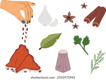 set of herbs and spices: chili, star anise, cinnamon, garlic, bay leaf, salt, parsley, and dill. Menu, kitchen