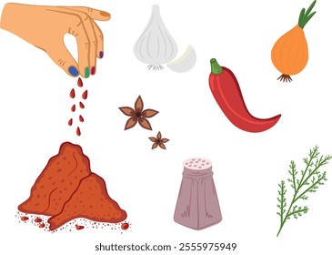 set of herbs and spices: chili, star anise, cinnamon, garlic, bay leaf, salt, parsley, and dill. Menu, kitchen