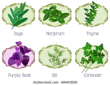 Set of herbs and spices: collection label of kitchen herbs. Icons herbs in frames.
