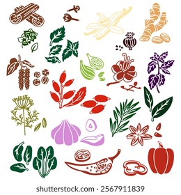 set of herbs and spices in the form of colored silhouettes, whole and in pieces on a white background. A variety of herbs, seeds, vegetables for different taste preferences. Lots of colorful pieces