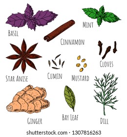 Set of herbs and spices. Isolated objects on a white background. Vector cartoon illustrations. Hand-drawn style. 