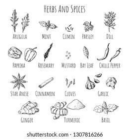Set of herbs and spices. Isolated objects on a white background. Vector cartoon illustrations. Hand-drawn style. 