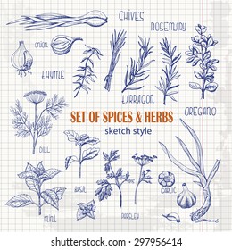 Set of Herbs and spices in sketch style on paper. Vector illustration for your design
