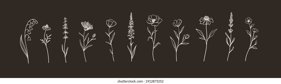 Set of Herbs and Wild Flowers. Hand drawn floral elements. Vector illustration