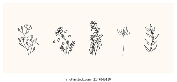 Set of herbs and wild flowers. Hand drawn floral elements. Vector illustration