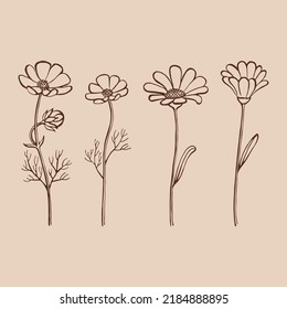 Set of herbs and wild flowers. Hand drawn floral elements. Vector illustration.