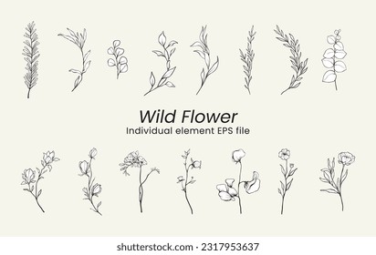 Set of Herbs and Wild Flowers. Hand drawn floral elements. Vector illustration