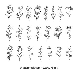 Set of herbs and wildflowers. Line art. Hand drawn floral elements. Vector botanical illustration.