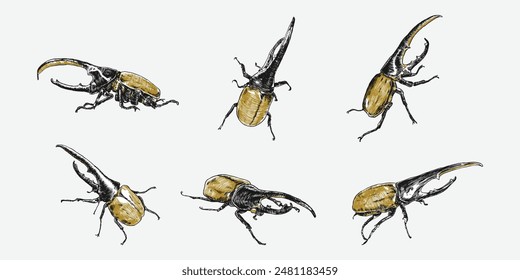 Set of hercules beetle insect sketch hand drawn. Different pose, action, Vector illustration.