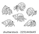 Set of hermit crabs. Collection of small crabs with a shell. Sand crustaceans. Underwater world. Vector illustration of sea inhabitants. 