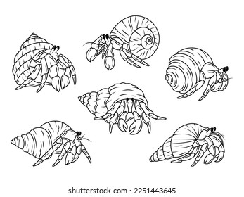 Set hermit crabs  Collection small crabs and shell  Sand crustaceans  Underwater world  Vector illustration sea inhabitants  
