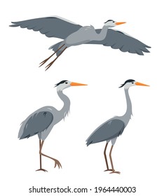 Set of heron birds in different poses for nature design. Flying and standing herons. Cartoon icons vector illustration isolated on white background.