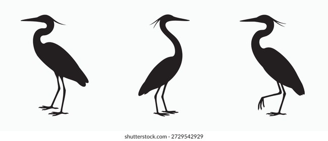 Set of heron or egret bird silhouettes standing in different poses. Elegant long-legged wading birds shown in black flat vector style, isolated on white background