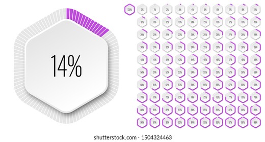 Set of hexagon percentage diagrams meters from 0 to 100 ready-to-use for web design, user interface UI or infographic - indicator with purple