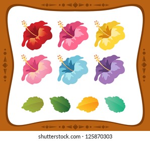 Set of Hibiscus Flower isolated on White Background