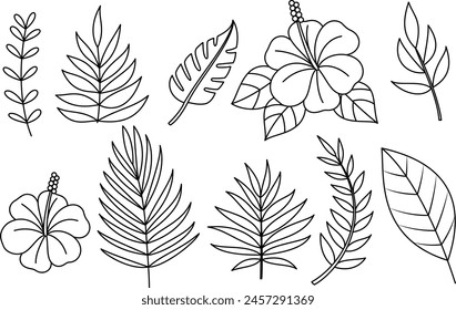 Set of hibiscus flower and wild leaf coloring page for kids and adults. Summer outline illustration