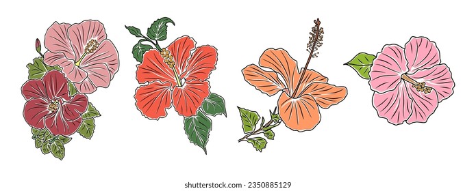 Set of Hibiscus flowers colorful vector botanical illustrations. Tropical blooms with leaves hand drawn outline collection isolated on white background. Modern design for logo, tattoo, wall art