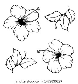 Set Hibiscus Flowers Leaves Coloring Book Stock Vector (Royalty Free ...