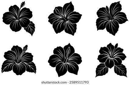 Set of Hibiscus Flowers silhouettes illustration on white background