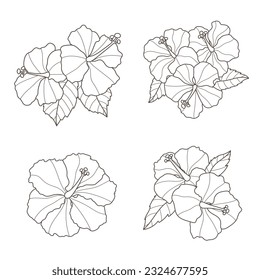 Set of hibiscus flowers, vector illustration, on white background, botanical element, for wedding invitation design, postcards