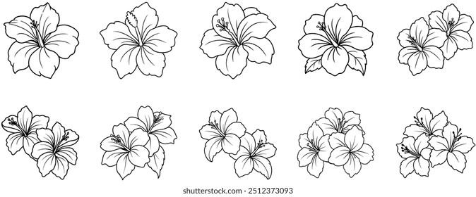 Set of Hibiscus Line Drawings, Coloring Pages