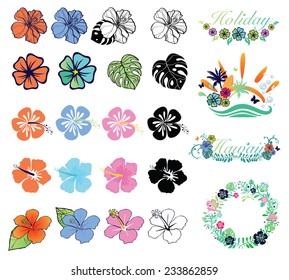 Set of hibiscuses and designs on summer theme