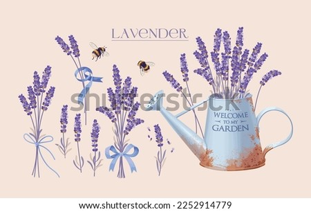 Similar – Image, Stock Photo lavender Lavender Provence