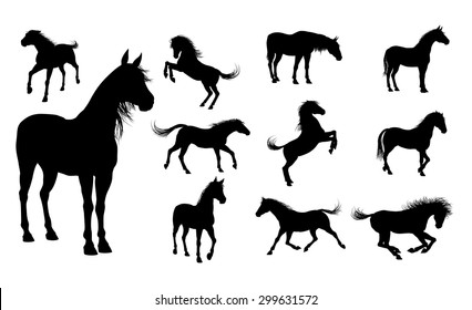 A set of high quality detailed horse silhouettes