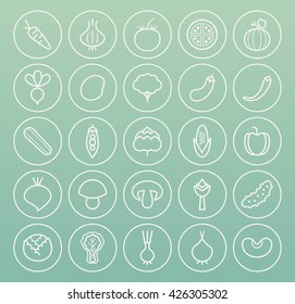 Set of High Quality Universal Standard Minimalist Simple White Thin Line Vegetables Icons on Circular Buttons on Color Background.